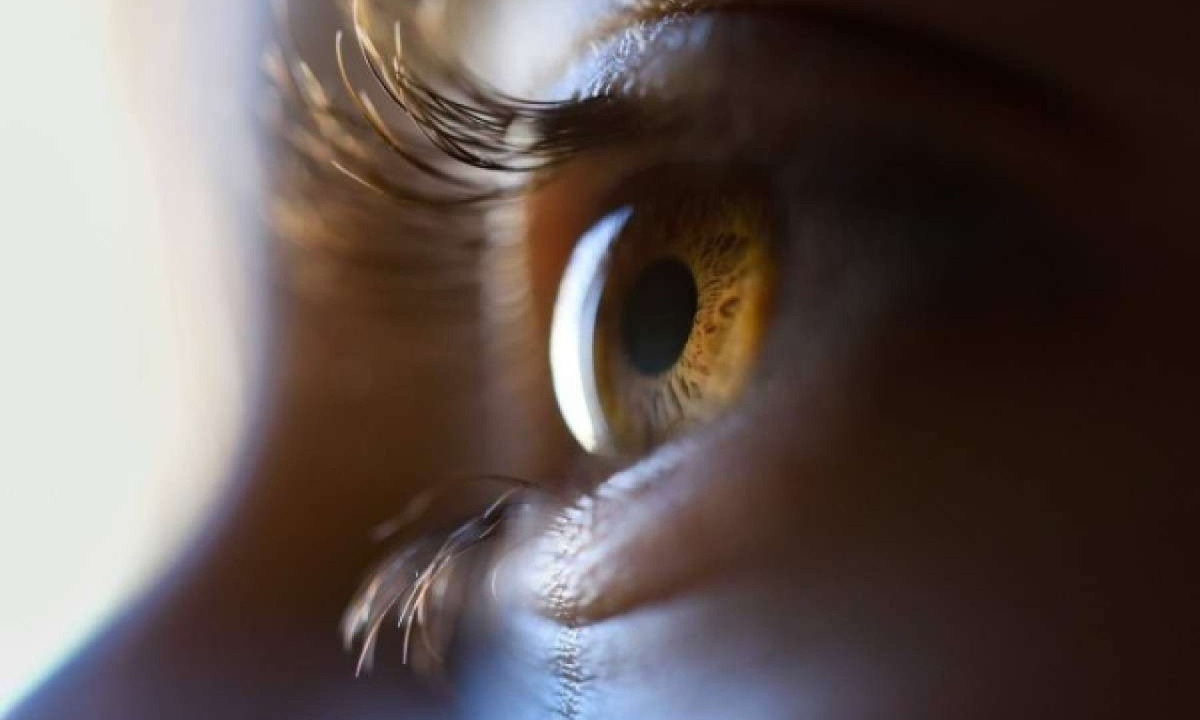 O teste avaliou a segurança e a eficácia de uma terapia que corrige deficiências em um gene associado à habilidade visual   -  (crédito:  Image by javi_indy on Freepik)
