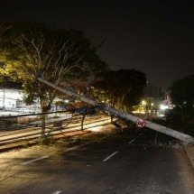 Vídeo: acidente causa queda de postes e interdita trânsito em avenida de BH - Túlio Santos EM/DA Press