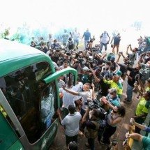 Torcida do Palmeiras bate recorde em programa de sócio-torcedor do clube  -  (crédito: - Foto: Cesar Greco/Palmeiras)
