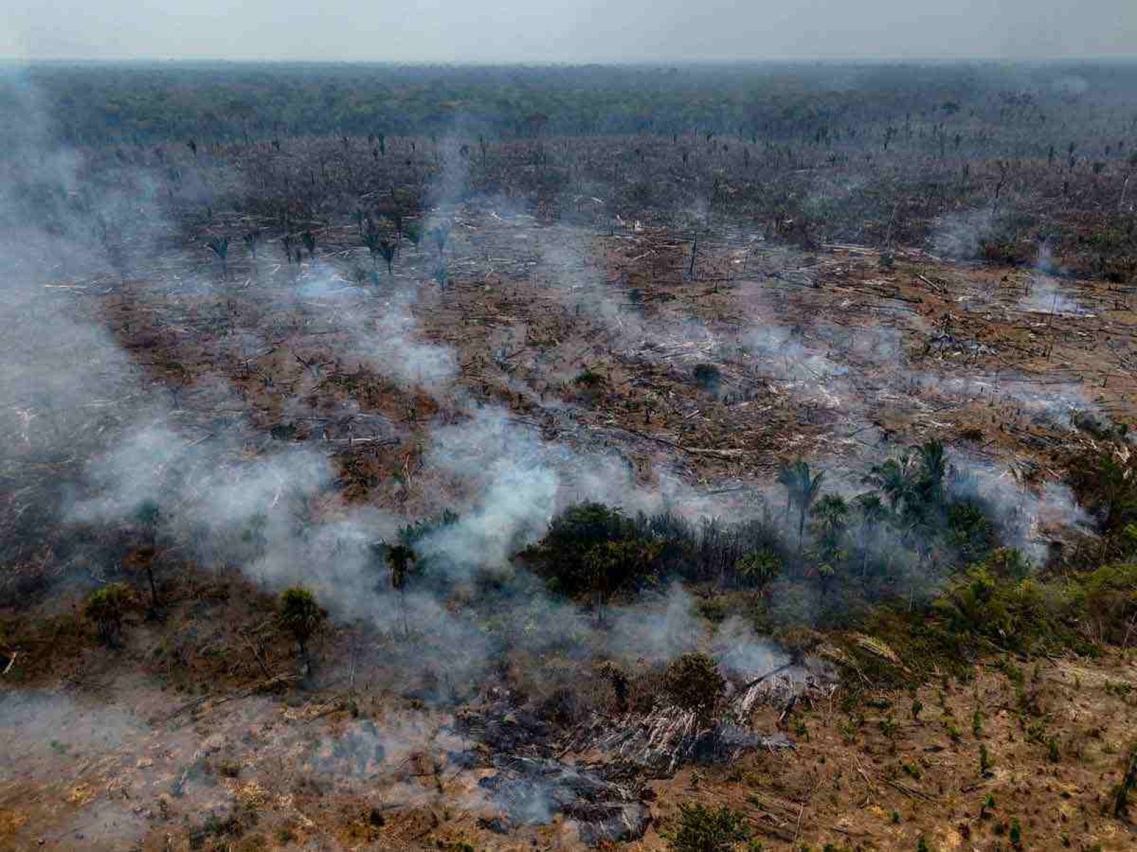 Prejuízos causados por incêndios expõem risco das mudanças climáticas