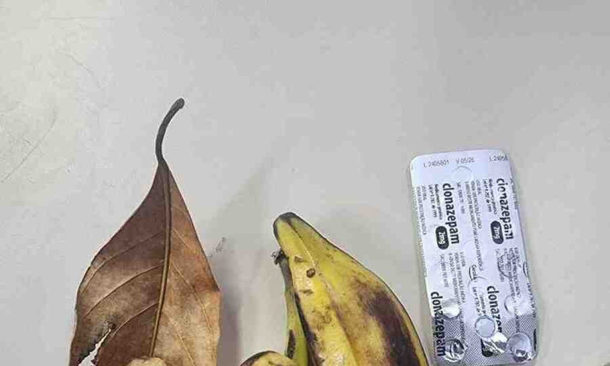 Calmantes eram esmagados e misturados com pedaços de banana para dopar macacos -  (crédito: Divulgação/PCRJ)