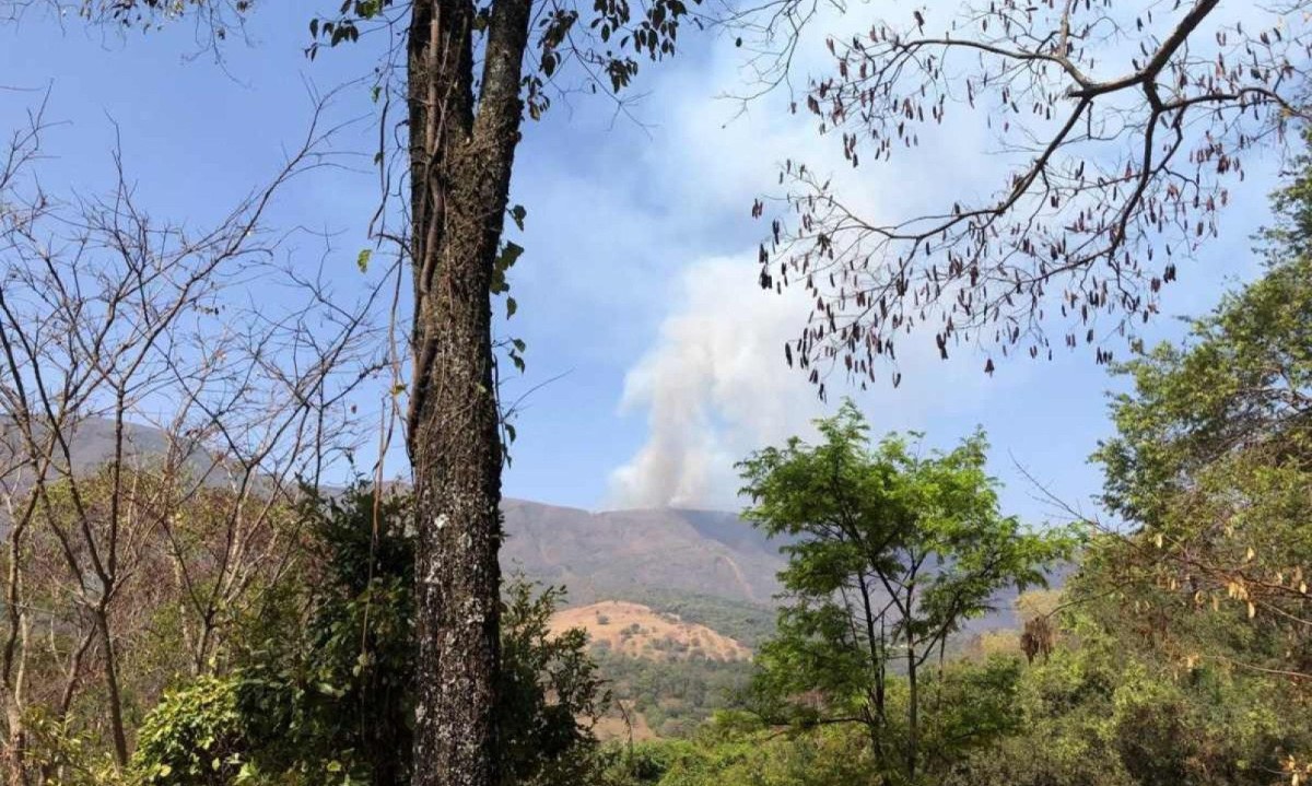 Incêndio próximo ao Topo do Mundo, na Serra da Moeda, chega à mata marginal da BR-040 -  (crédito: Nairo Alméri/Imagens cedidas)