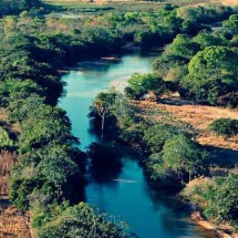 Dia do Cerrado é comemorado em 11 de setembro - DINO