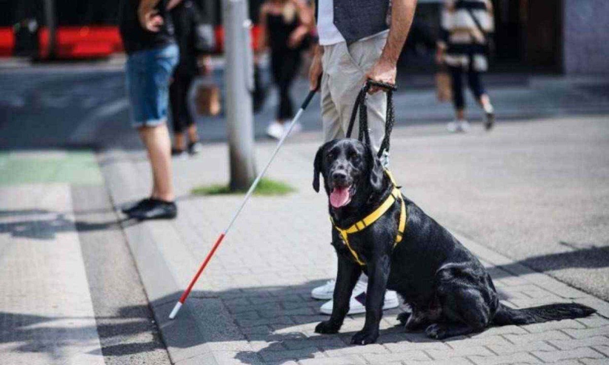 

Homem portador de deficiência segura bengala, acompanhado de cão-guia  
 -  (crédito: Agência Câmara)