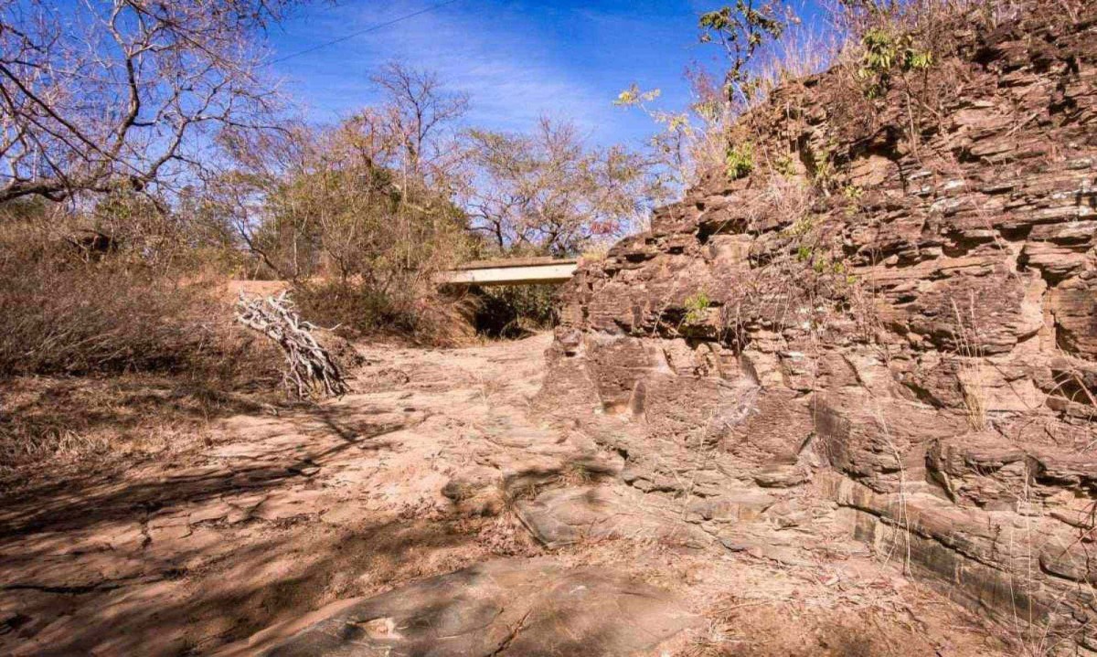 Minas Gerais enfrenta seca severa em 2024 -  (crédito: Leo Boi)