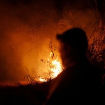 Bolívia ultrapassa o Brasil em focos de incêndio, aponta Inpe -  (crédito: EBC)