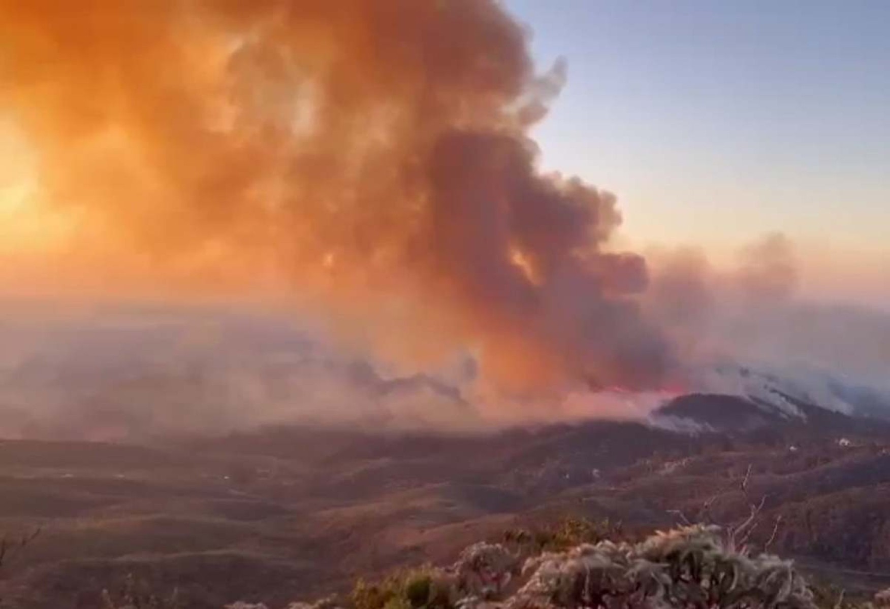 Com 171 incêndios, Grande BH registra 46% das ocorrências em MG em 24h