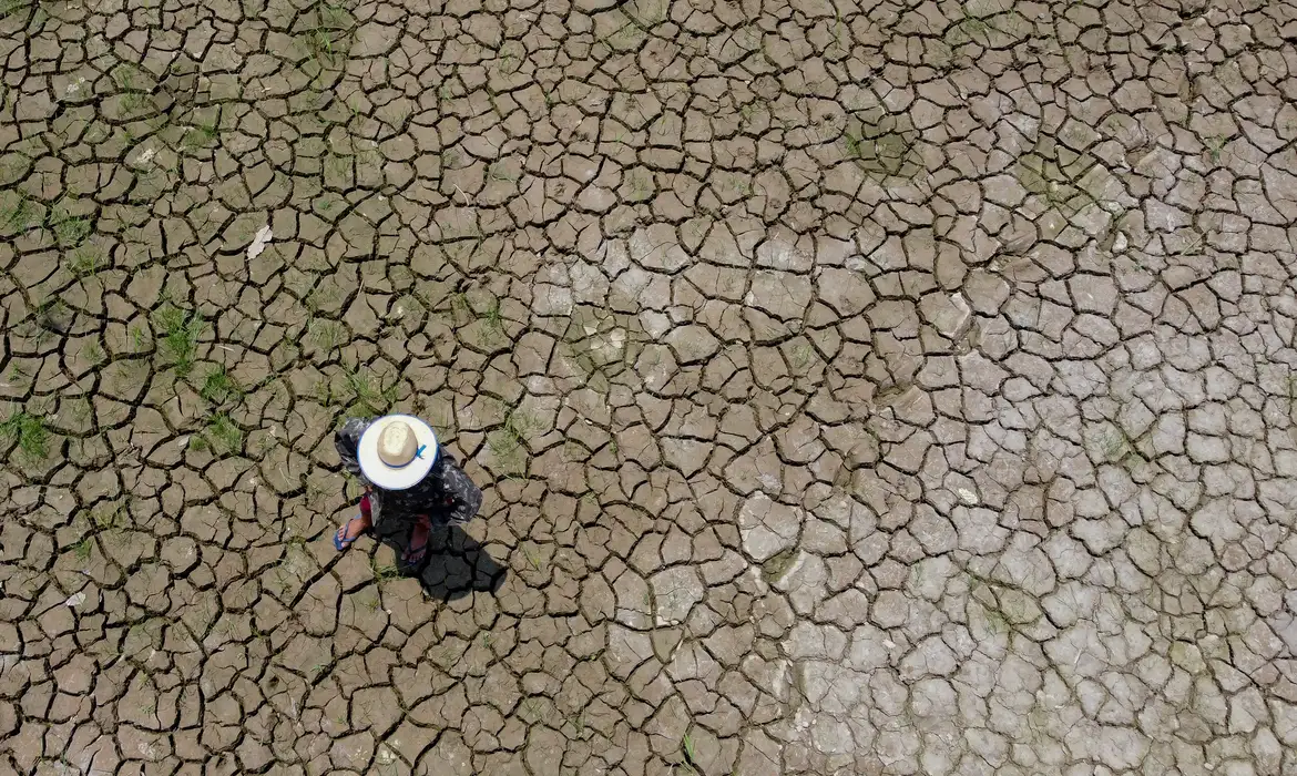 3 cidades mineiras est&atilde;o sendo impactadas com a seca, e sofrem com a necessidade de racionamento de &aacute;gua -  (crédito: EBC)