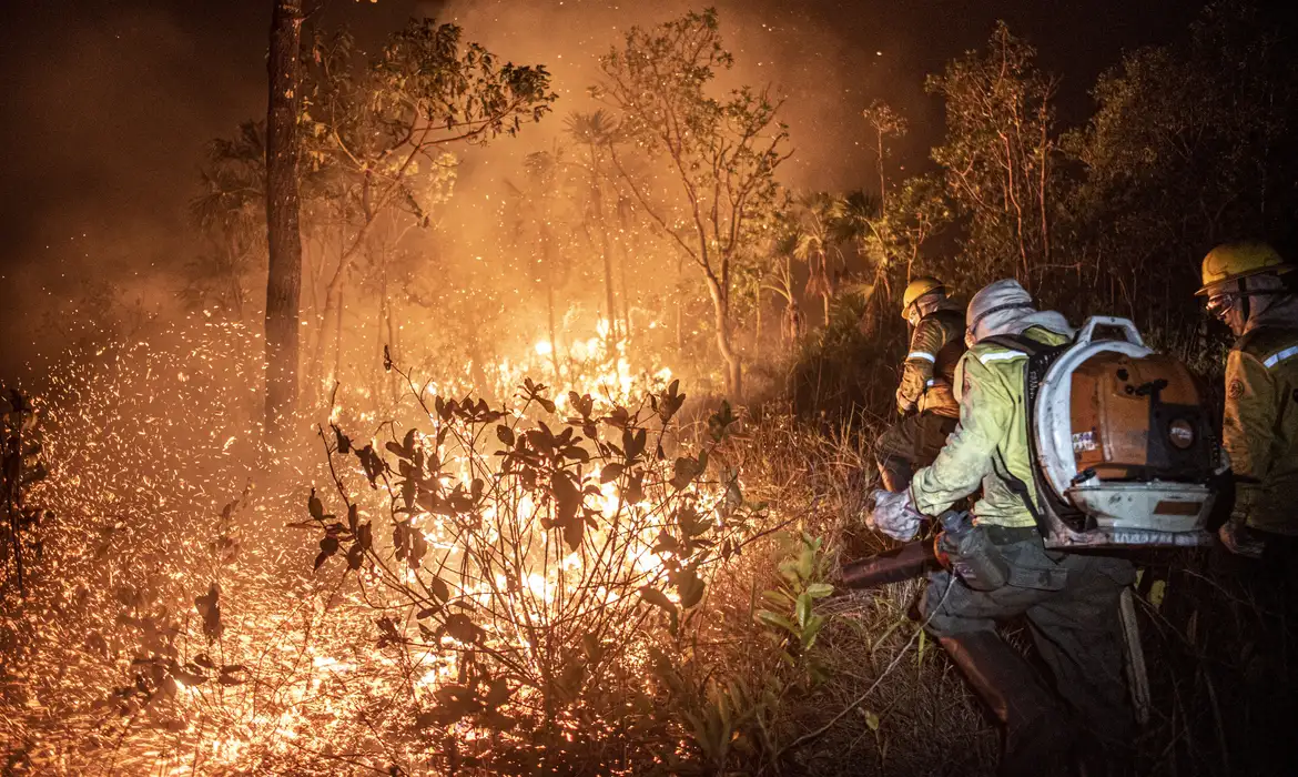 Brasil teve 11,39 milhões de hectares atingidos pelo fogo este ano - EBC - Geral