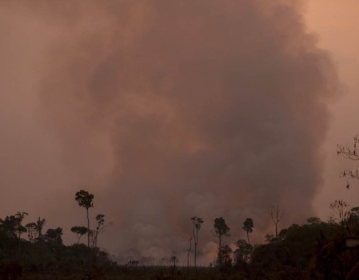 Queimadas ilegais na floresta amazônica às margens da rodovia BR-230 (Rodovia Transamazônica¬), próximo à cidade de Humaitá, estado do Amazonas, norte do Brasil, tirada em 4 de setembro de 2024       -  (crédito: MICHAEL DANTAS / AFP)