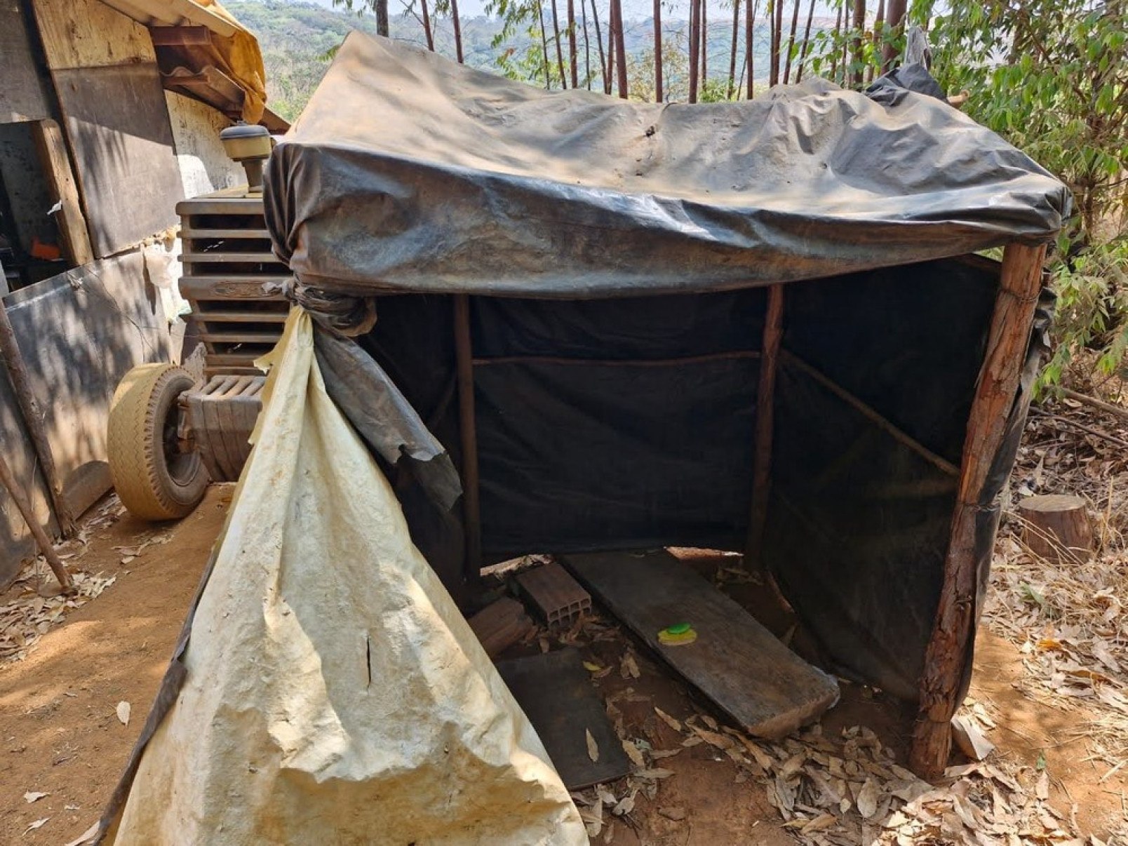 Trabalhadores com fome são resgatados em carvoaria