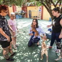 Duda quer destinar imóveis abandonados em BH para proteção de animais - Cadu Passos/Divulgação