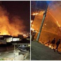 MG: bombeiros evitam mortes de animais em incêndio que quase atingiu casas - Radar Geral/Itabirito/Reprodução