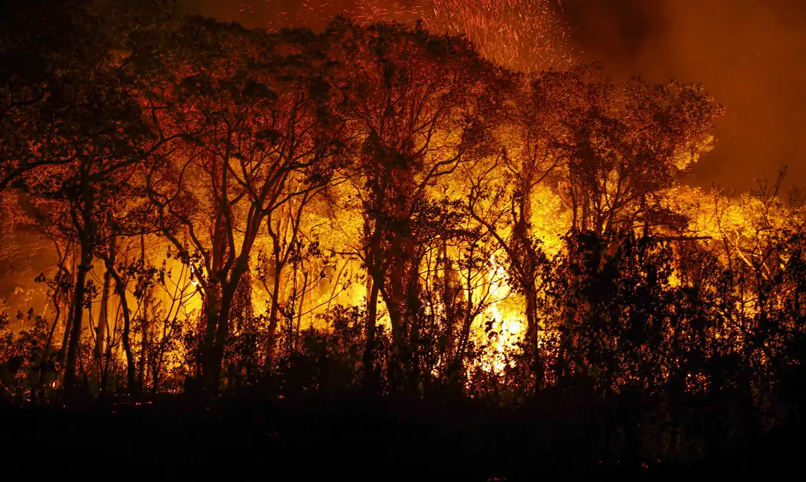 Defensoria Pública pede combate a incêndios em terras indígenas do MT  -  (crédito: EBC)