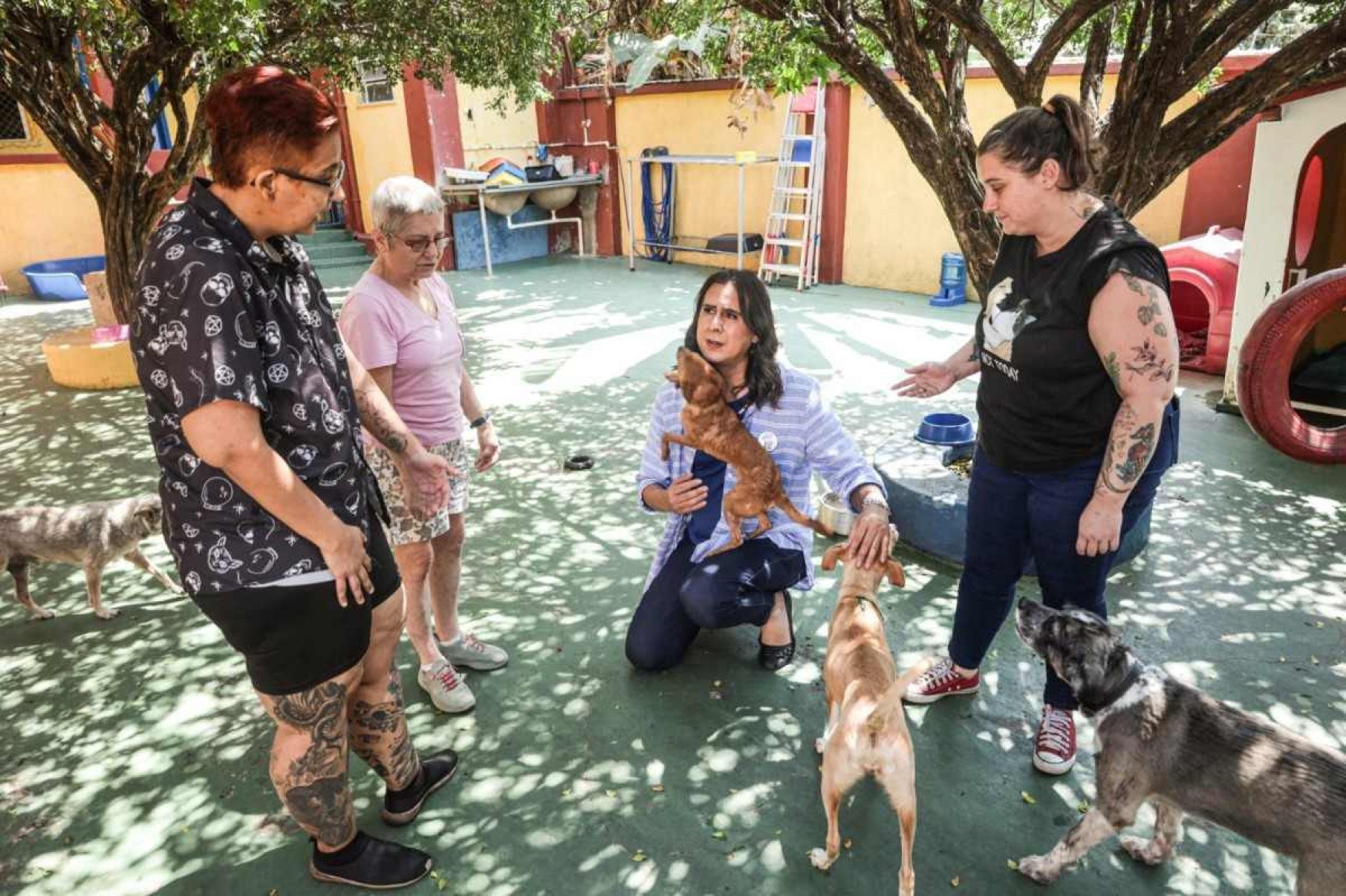 Duda quer destinar imóveis abandonados em BH para proteção de animais