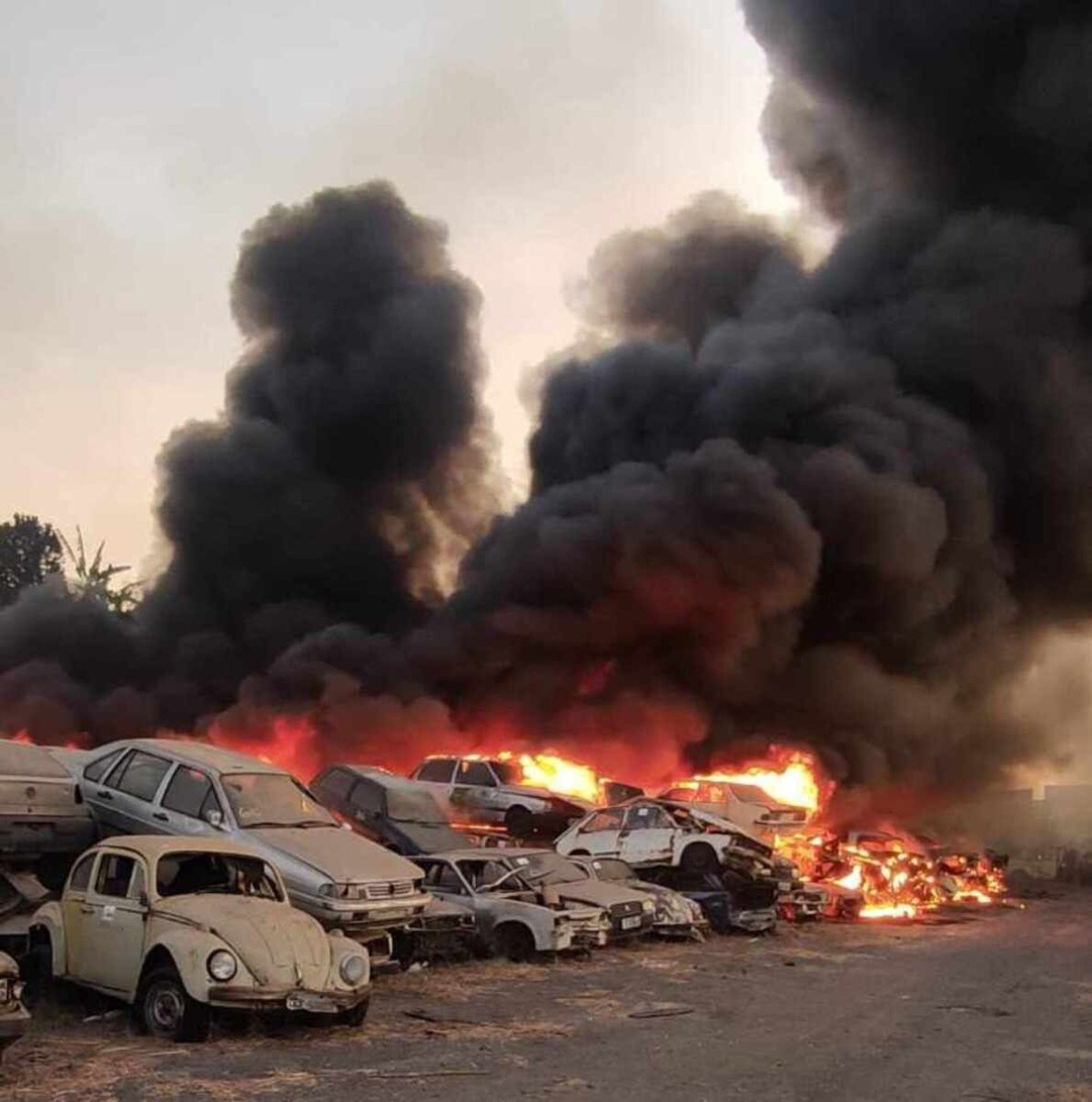 BH: incêndio de grande proporção atinge pátio de veículos; veja vídeo