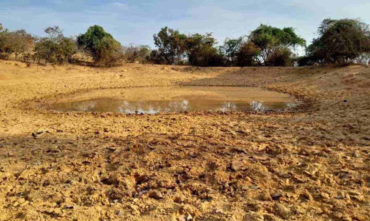 Impactos da seca em comunidade da zona rural de Montes Claros, Norte de Minas, onde aÃ§udes e barraginhas estÃ£o minguando a cada dia

 -  (crédito: Carlos AndrÃ© Gomes/divulgaÃ§Ã£o)