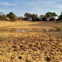 Emergência: mancha da seca suga a vida em 138 cidades do semiárido de Minas - Carlos AndrÃ© Gomes/divulgaÃ§Ã£o