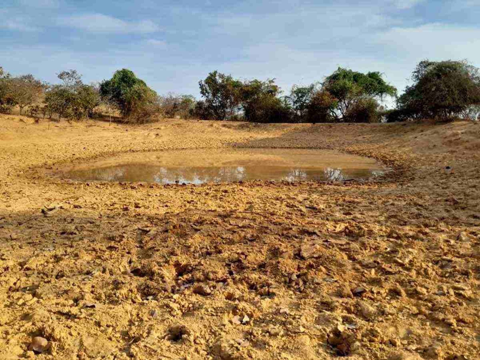 Emergência: mancha da seca suga a vida em 138 cidades do semiárido de Minas