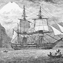 15 de setembro marca viagem histórica de Charles Darwin ao paraíso natural da "Origem das Espécies" - Domínio público 