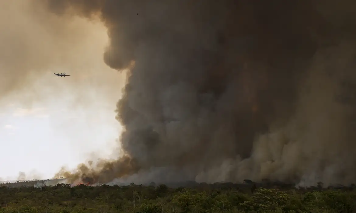 Parque Nacional de Brasília foi um dos locais atingidos pelas chamas -  (crédito: EBC)