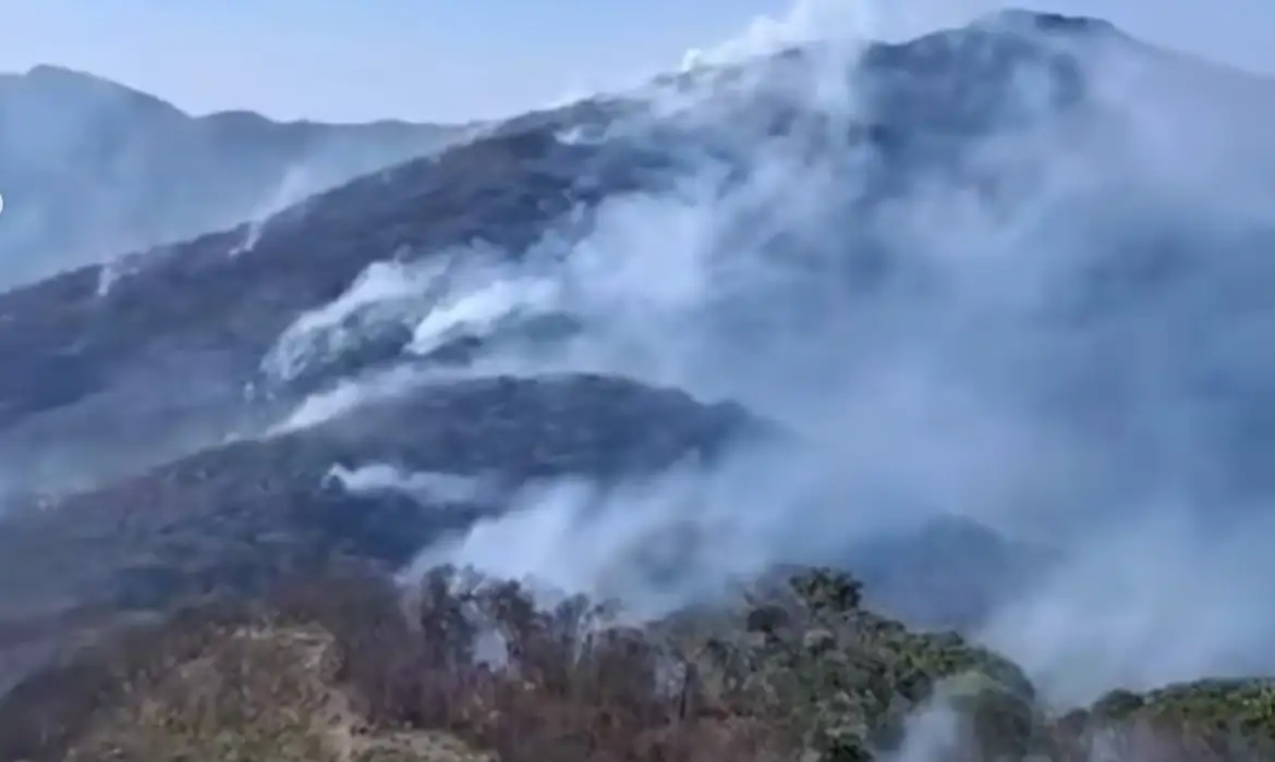 Governo investiga mais de 20 pessoas por incêndios florestais no Rio -  (crédito: EBC)