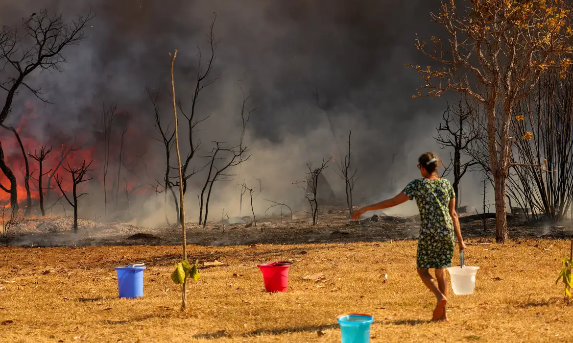 PF abre inquérito para investigar incêndio em Brasília  -  (crédito: EBC)