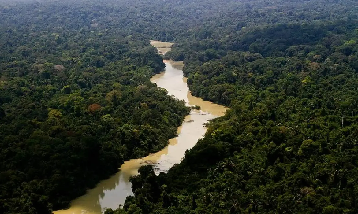 Governo entra com primeira ação por danos climáticos contra a Amazônia -  (crédito: EBC)