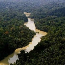 Ação do governo pede R$ 635 mi de fazendeiros que desmataram a Amazônia - Leonardo Milano/ICMBio