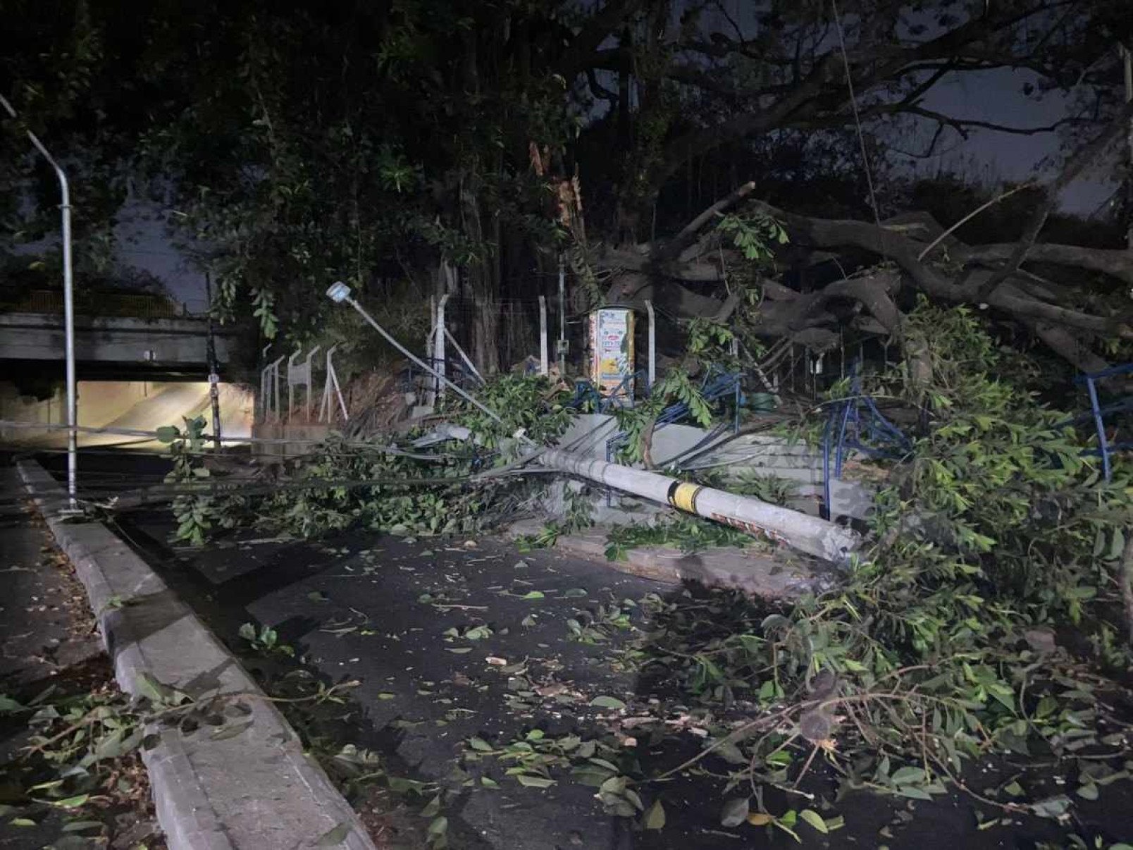 Queda de árvore no Gameleira derruba  postes e interdita rua 