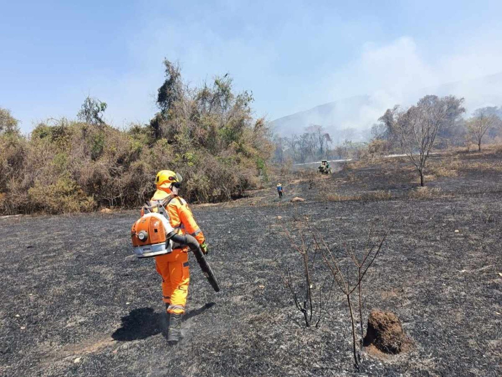 No domingo (15/9), o Corpo de Bombeiros combateu focos de incêndio em área rural não protegida em Bocaiuva, em Minas Gerais -  (crédito: CBMMG / Divulgação)