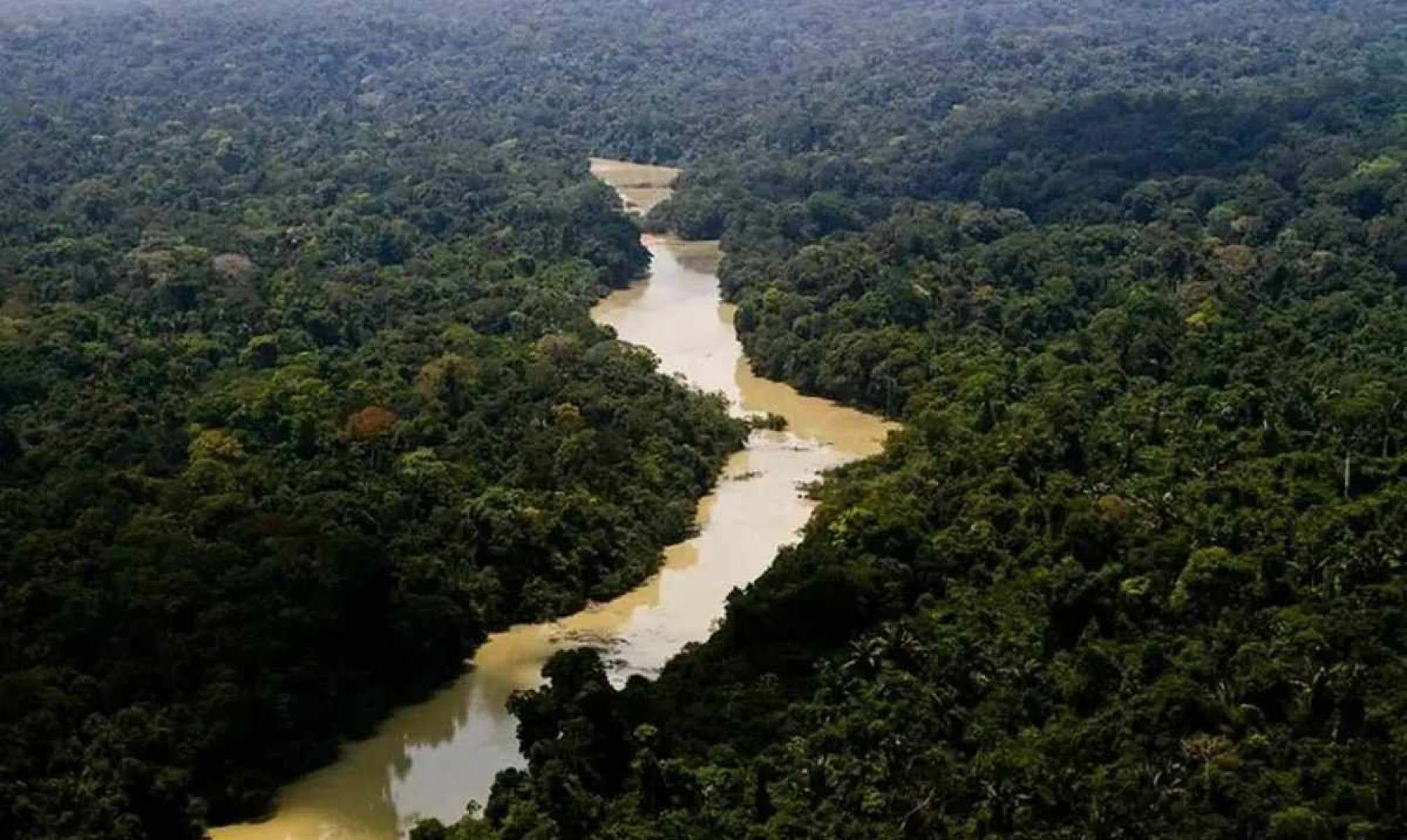 Ação do governo pede R$ 635 mi de fazendeiros que desmataram a Amazônia