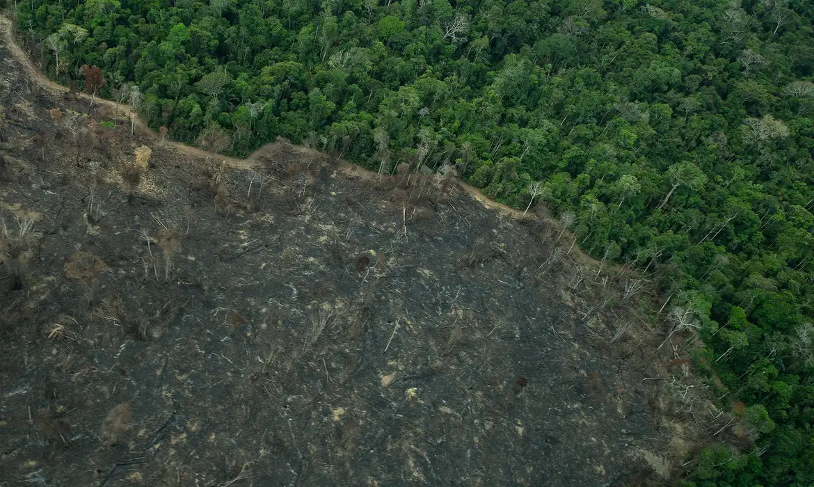 Terra Indígena Karipuna de Rondônia tem cenário de incêndio e seca  -  (crédito: EBC)