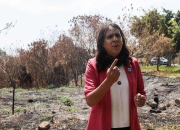 Na ter&ccedil;a-feira (17/9), Duda Salabert visitou parque atingido por inc&ecirc;ndios -  (crédito: Cadu Passos/Divulga&ccedil;&atilde;o)