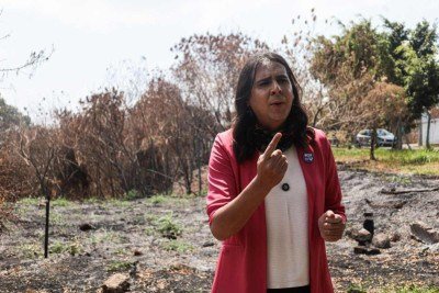 Na ter&ccedil;a-feira (17/9), Duda Salabert visitou parque atingido por inc&ecirc;ndios -  (crédito: Cadu Passos/Divulga&ccedil;&atilde;o)