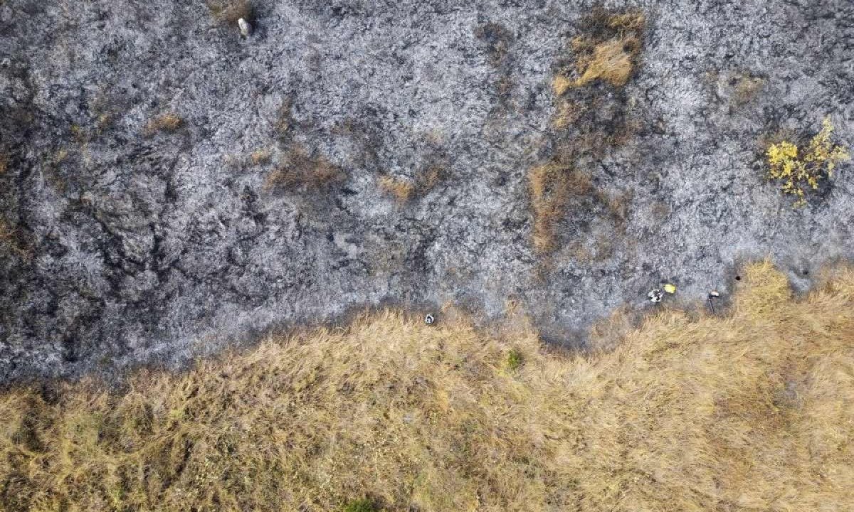 Vista aérea de bombeiros trabalhando em um foco de incêndio em uma área rural de Corumbá, estado de Mato Grosso do Sul, Brasil, em 26 de junho de 2024.  -  (crédito: Pablo PORCIUNCULA / AFP)