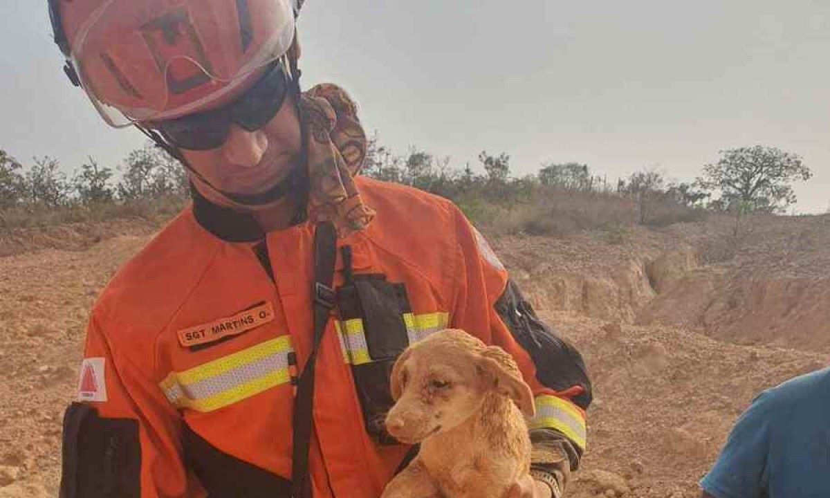 Cadela estava presa em buraco de aproximadamente 10 metros -  (crédito: CBMMG)
