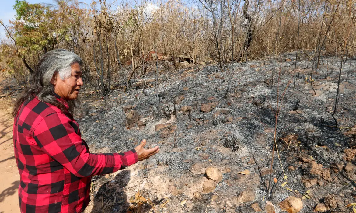 Indígenas sofrem com incêndio em área próxima a parque de Brasília -  (crédito: EBC)