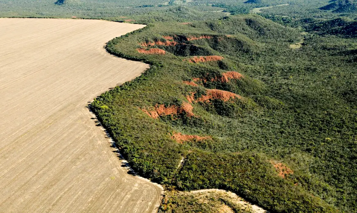 Cerrado: desmatamento emite 135 milhões de toneladas de CO2 desde 2023 -  (crédito: EBC)