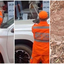 Vídeo: cobra sobre para-brisa de veículo mobiliza bombeiros em Minas - CBMMG