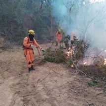 MG: bombeiros atendem a mais de 250 chamados de incêndio em 24 horas - CBMMG