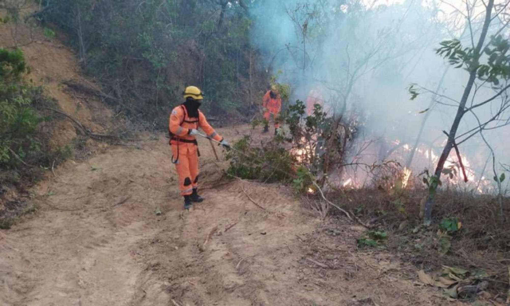 MG: bombeiros atendem a mais de 250 chamados de incêndio em 24 horas