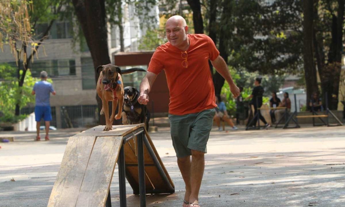 Lino brincando com Syrah e Merlot no Parque Municipal Rosinha Cadar
       -  (crédito:  Edesio Ferreira/EM)