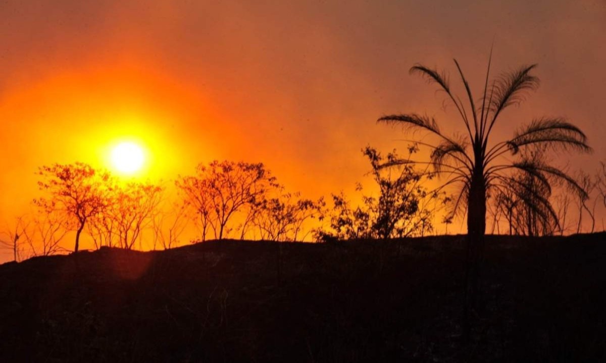O grupo terá o papel de monitorar a implementação das metas do Plano de Ação Climática (Plac) e atualizar o Inventário de Emissões e Remoções de Gases de Efeito Estufa -  (crédito: Evandro Rodney / IEF)
