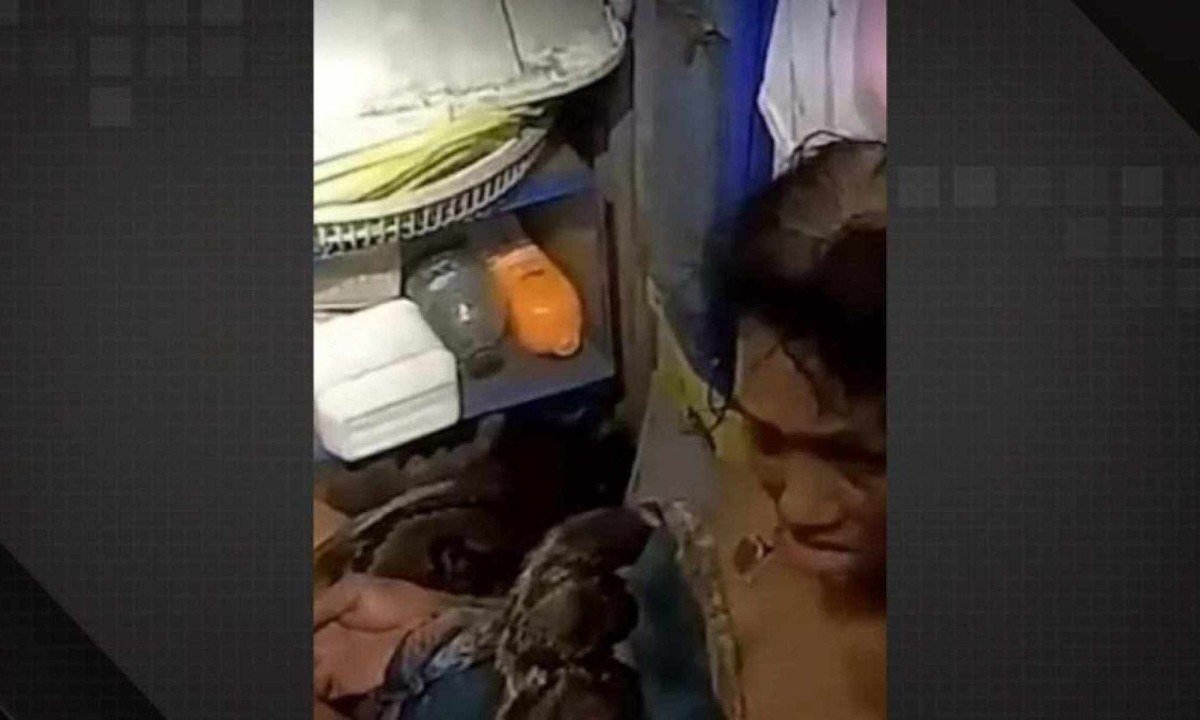 Mulher é resgatada após ficar duas horas enrolada por cobra de 4 metros -  (crédito: Reprodução / Redes sociais)