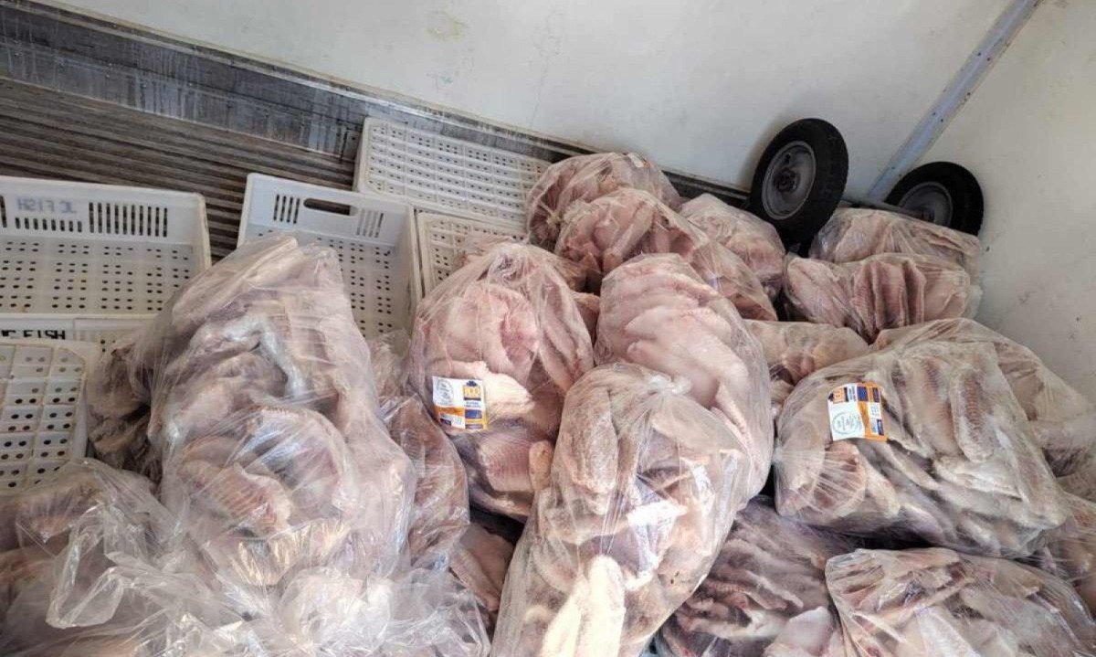 Til&aacute;pias foram furtadas de um frigor&iacute;fico e vendidas a R$ 25 o quilo -  (crédito: Reprodu&ccedil;&atilde;o/PMMG)