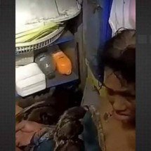 Vídeo: mulher fica duas horas enrolada por cobra de quatro metros - Reprodução / Redes sociais