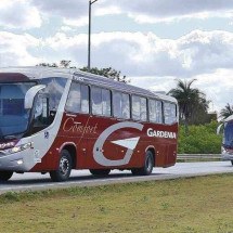 Empresa de ônibus é multada em R$ 757 mil por veículos em más condições -  Divulgação/Expresso Gardênia