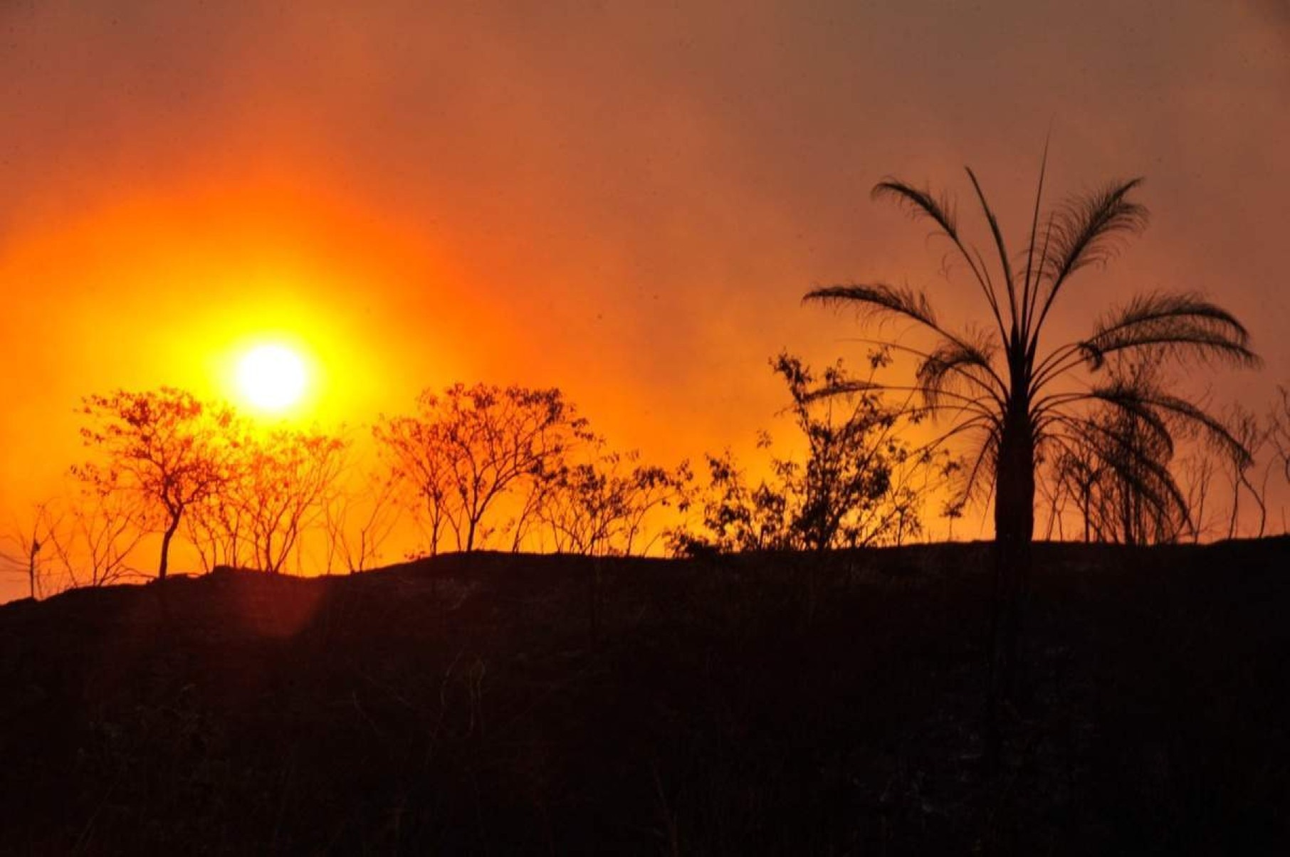 Minas cria grupo para acompanhar ações sobre mudanças climáticas 