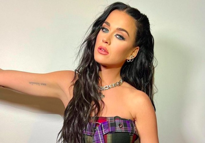 Passagem de Katy Perry no Brasil continua chamando a atenção do público  -  (crédito: reprodução/instagram @katyperry)